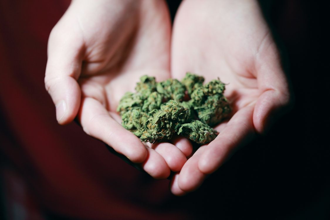 Foto von Alexander Grey – Nutzhanf und Cannabis: Der Unterschied
