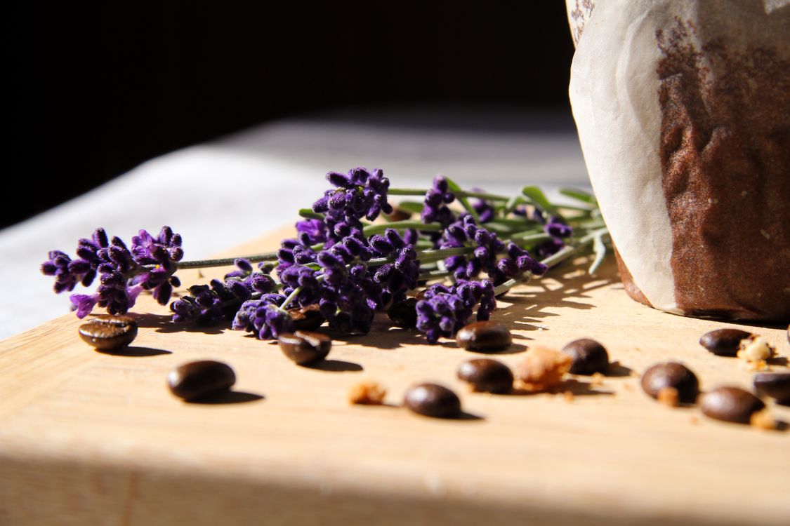 Foto von Romana – Was sind Terpene?
